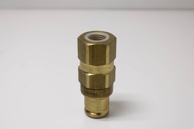 FASTER 12NPT5-02 10 PK NSNBC01