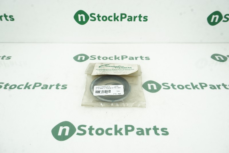 CUNNINGHAM 2-1/2 AARK-2 FREPAIR KIT 3/4" ROD NSFB