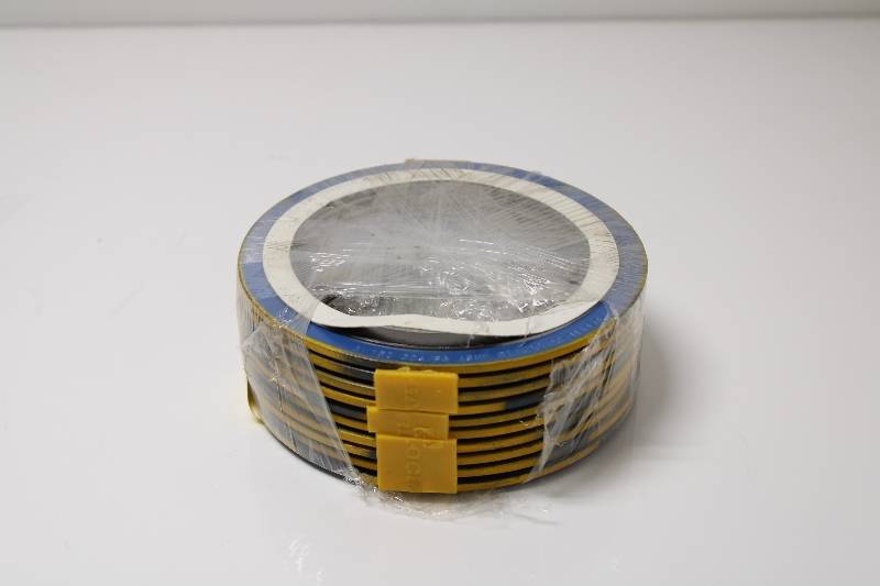 GARLOCK 3" 150 ASME B16.20 304/FG 10PK NSNBC01