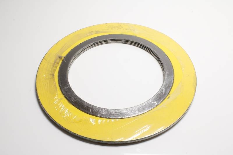 FLEXITALLIC 6" 900 B16.20 316L/FG 2PK NSNBC01