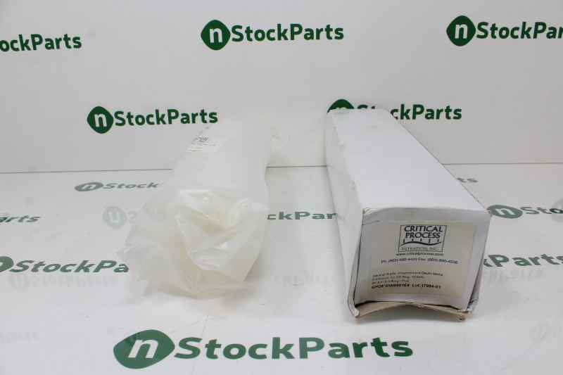 CRITICAL PROCESS GPD5*0N00001E4 NSNB