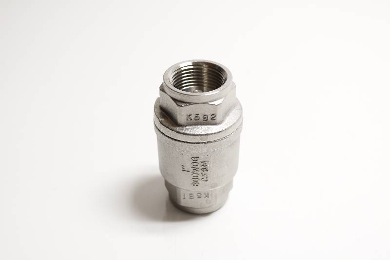 BONOMI S800-1" NSNBC02 - CHECK VALVE